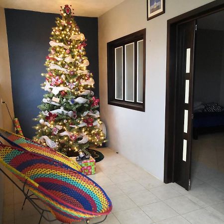 Montealban House Bed & Breakfast Oaxaca Екстериор снимка