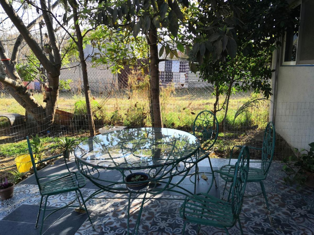Montealban House Bed & Breakfast Oaxaca Екстериор снимка